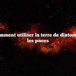 Question : Comment utiliser la terre de diatomées pour tuer les puces